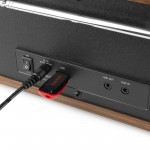 Audizio Naples Digital Music System CD/BT/DAB+/Internet Wood