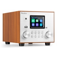 Viestes DAB+ radio ar zemfrekvences skaļruni Silver