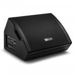 PDY212SM Active Stage monitors 12"