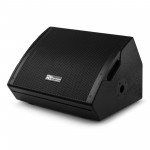 PDY212SM Active Stage monitors 12"