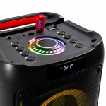 Core80 partijas skaļrunis